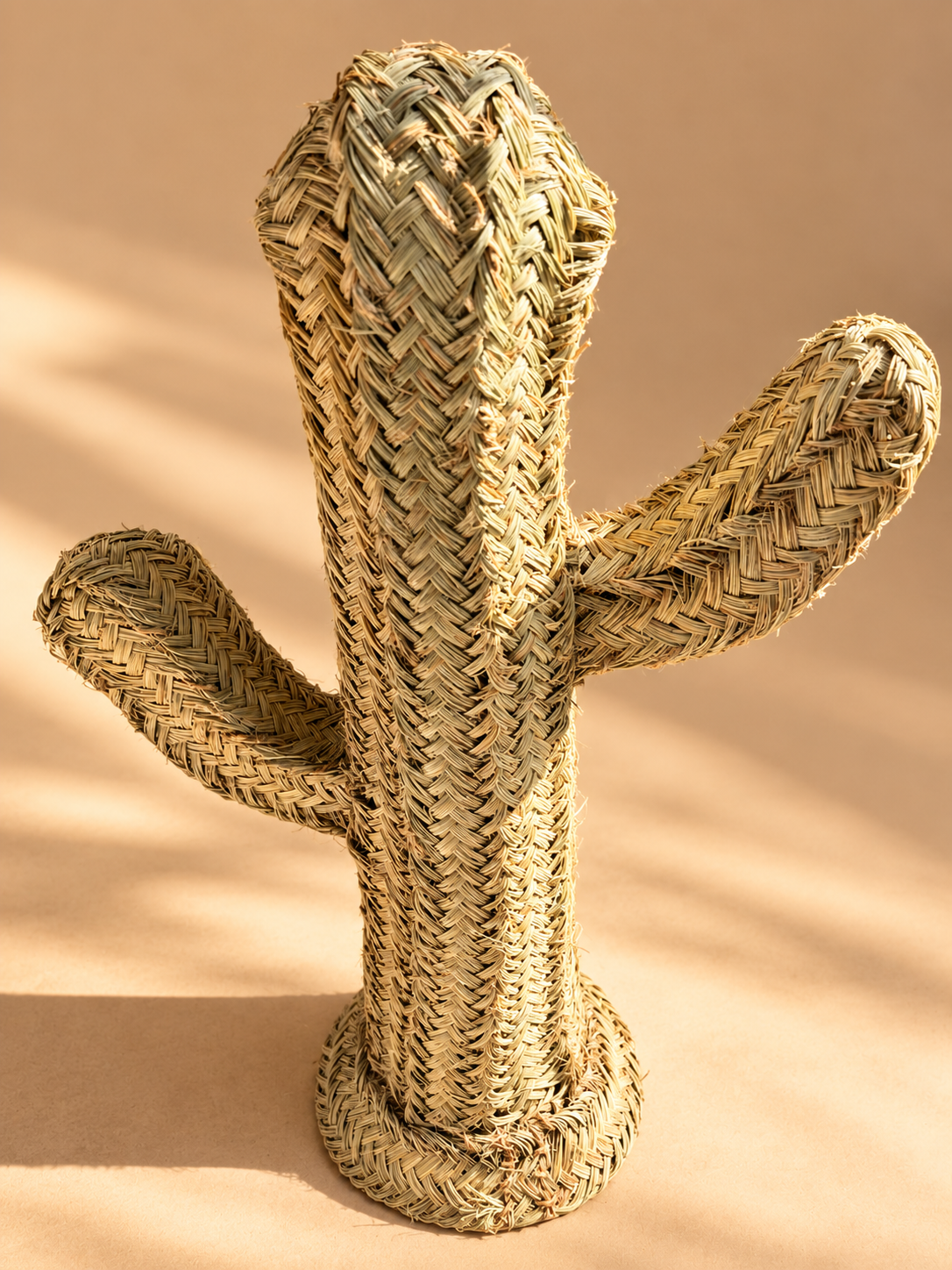 Cactus en raphia – mise en scène extérieur
