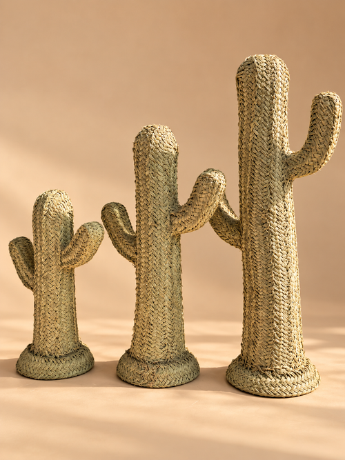 Cactus en raphia tressé – vue principale