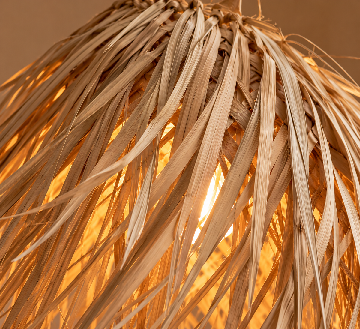 Détail des feuilles de palmier séchées de la suspension boule